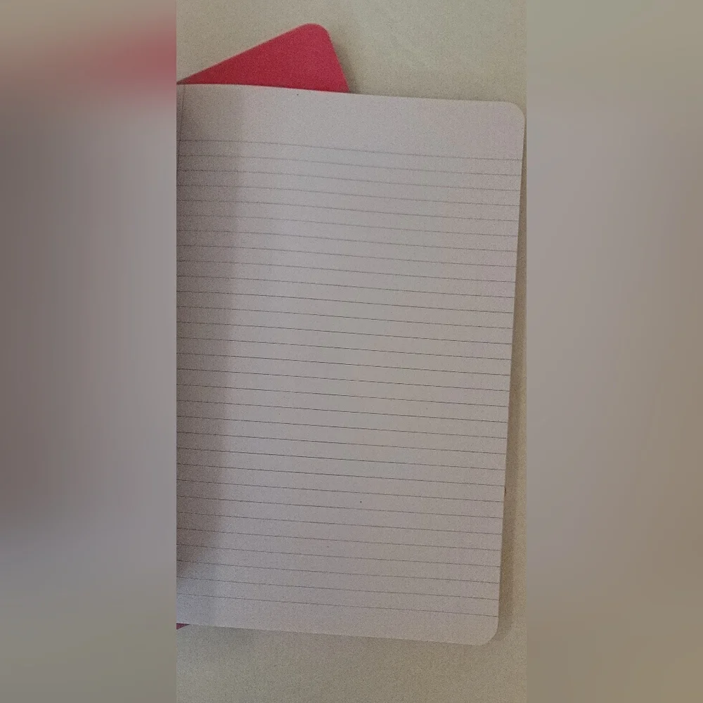 School supplies 2 pink holographic print notepads No Prob Llama composition Book